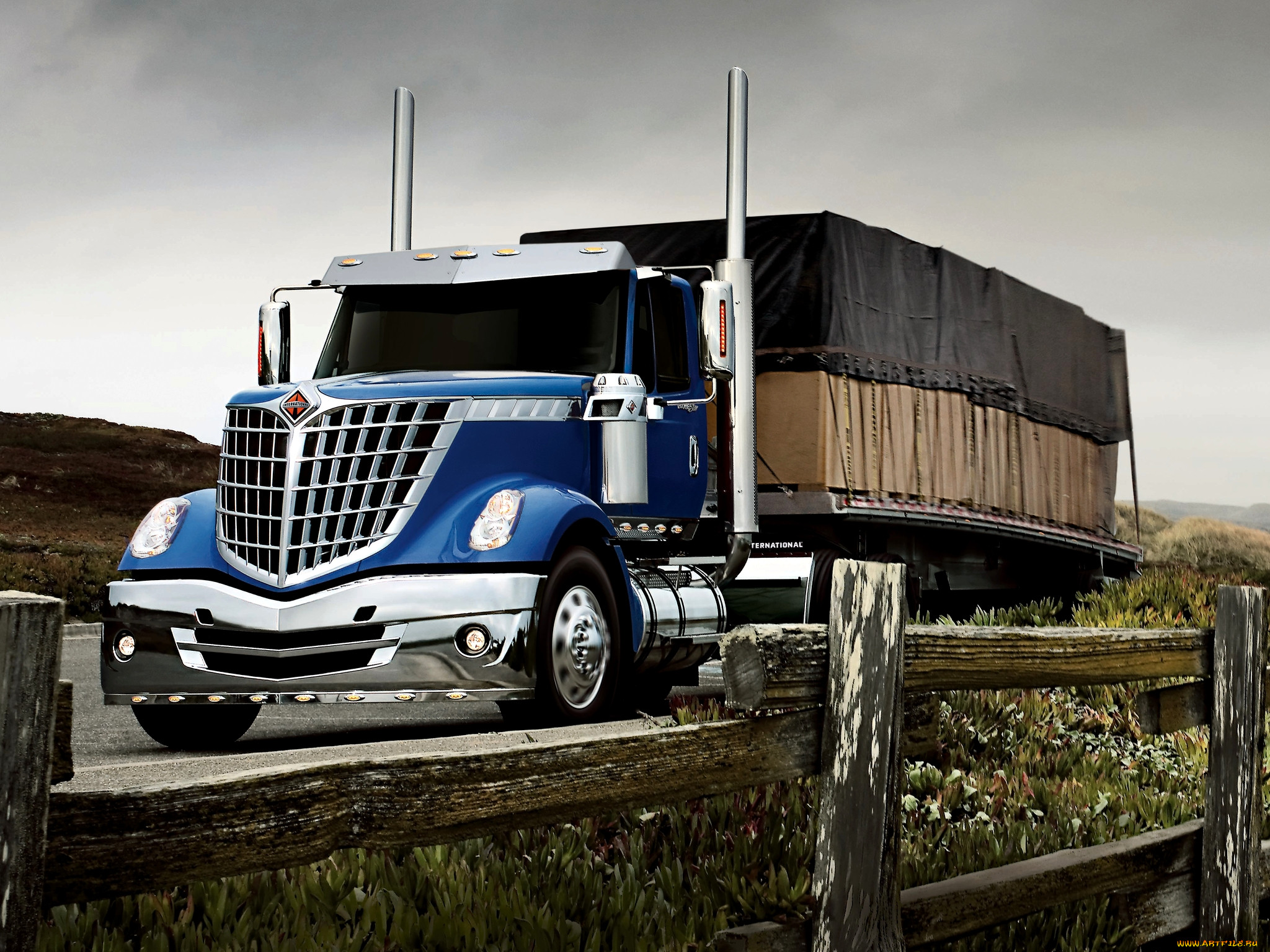 , international, lonestar